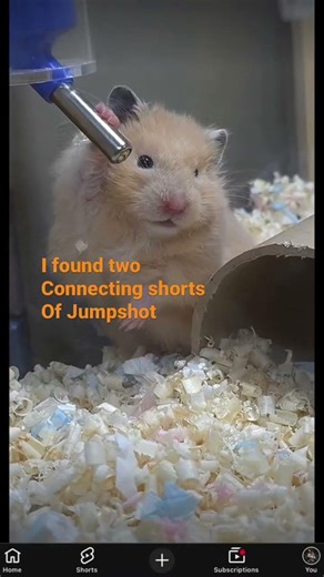 Found two shorts connected #conection #shortfeed #duet