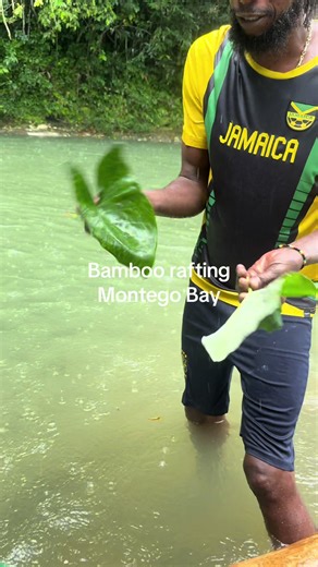 Discover Elephant Ears and Healthy Foods in Jamaica