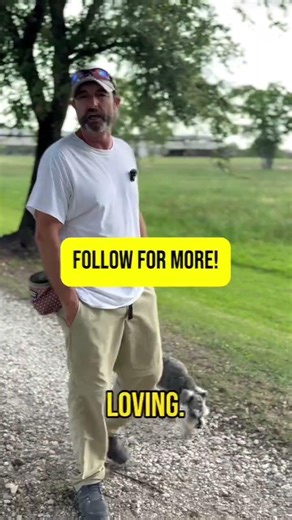 Easy Dog Training Steps: Train for Calm, Confidence, and Love!