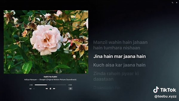 Kabhi Na Kabhi: Aditya Narayan's Romantic Ballad