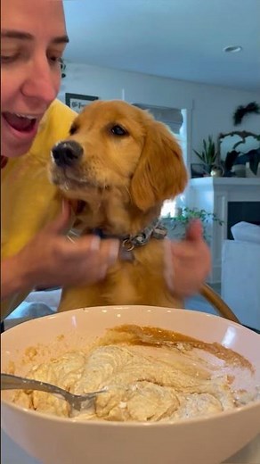 Dog Ice Cream Recipe