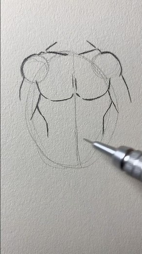 How to draw torso