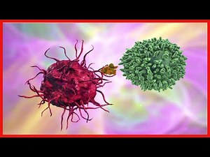 ¿Qué son los antígenos y anticuerpos?