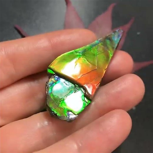 Healing Ammolite Gemstone– Natural Chakra Energy Gemstone Loose Beads