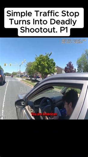 Simple Traffic Stop Turns Into Deadly Shootout | Convenient Container Homes