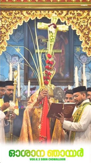 ഓശാന ഞായർ #shorts