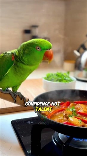 The parrot became the chef and started cooking 🦜😆#talkingparrot #funnyparrot