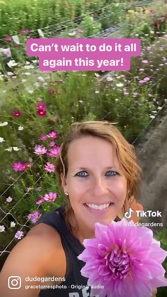 Spring Flowers: A Comparison from Last March to the End of the Season