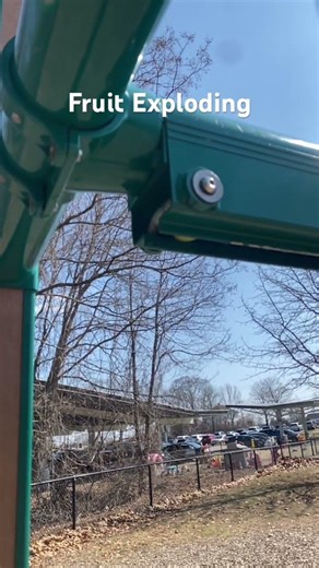 #fruit #exploding #entertainment