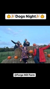 4.5K views · 14 reactions | Check out all the awesome dogs and families who visited Forge Mill Farm this weekend for special dog friendly After Hours Pumpkin picking!  | Sandwell Valley Country Park | Facebook