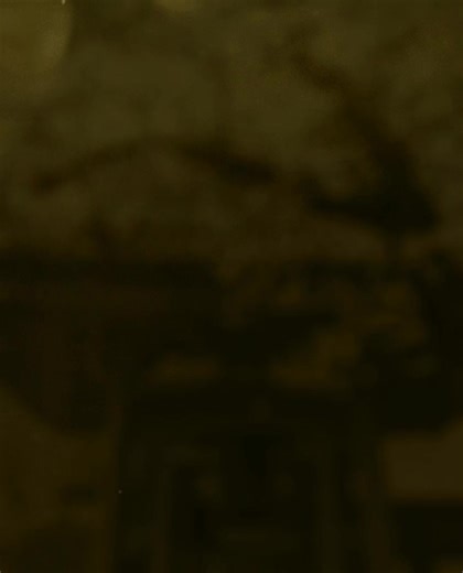 Exploring the Wonders of Dream Japan