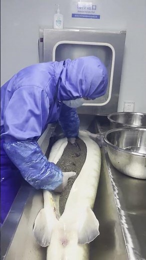 This is why Caviar become cheaper and cheaper 👀