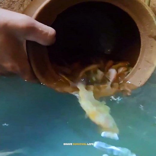 I Built a BAMBOO Fish House and Raised Hundreds of Fish