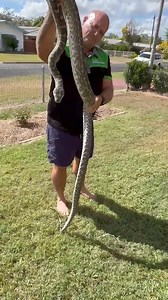 8.5K views · 11 reactions | The Express Newspaper on Reels | Facebook