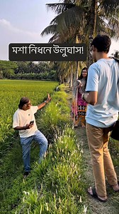 মশা নিধনে উলুঘাস! #Imperata_cylindrica #Poaceae #উলুঘাস | Md Azharul Islam Khan