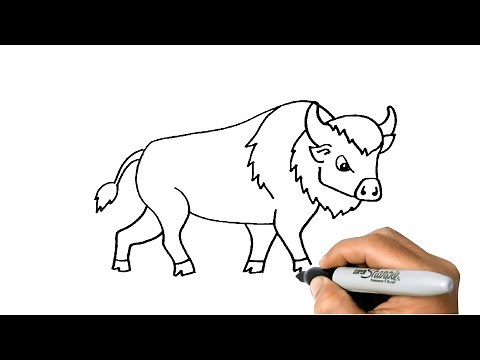 How to DRAW a BUFFALO Easy Step by Step