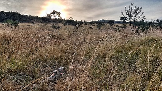 Participate in a one-of-a-kind Pangolin conservation experience at andBeyond Phinda