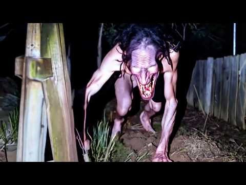 Unexplained Videos of Real Creatures Caught on Camera