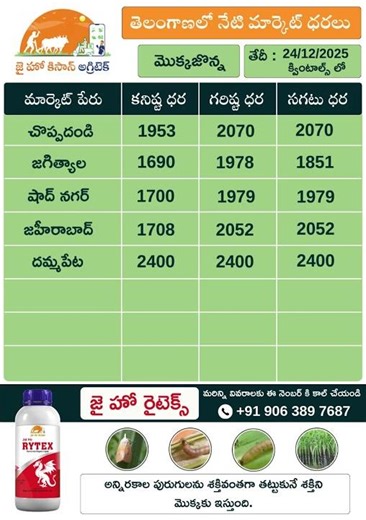 jhk market rate updates | Today Market Prices of Maize in Telangana | ‪@jaihokisan‬