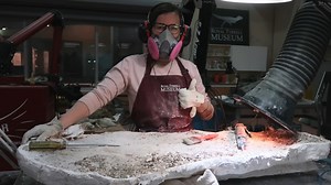 When our technicians are ready to start working on a fossil, they use power tools to cut through the protective field jacket. Thanks to some new techniques developed by our preparators, jackets are now much easier to open! | Royal Tyrrell Museum of Palaeontology