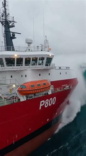 The ocean is very vast. #funny #ocean