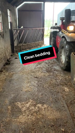Effective Bedding Cleaning Techniques for Farmers