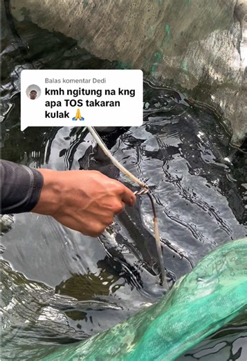 How to Calculate the Weight of Catfish