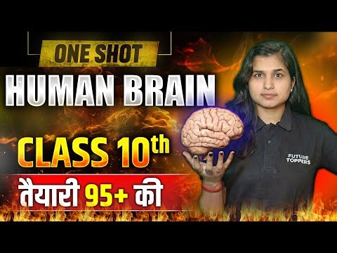 Human Brain | Control and Coordination | NCERT Line by Line | one shot | Class 10th
