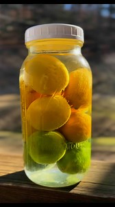 Getting ready to show you Nona Jenny’s citrus paste from Sicily! #lemon #lime #citrus #sicily #organic #fermentedfoods #fermentation #fyp #reels #reelchallenge #fypviralシ #fypシ゚ #diy #easyrecipes #recipes | Folk Medicine And Remedies