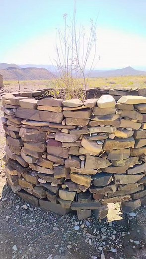 8.7K views · 243 reactions | "A world without trees is a world without life - let's protect and cherish them always ❤️ #treelover #savethetrees #naturelover" | Star Photography Khuzdar | Facebook