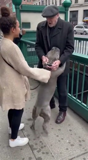 Leash Slips… “That’s My Dog!”