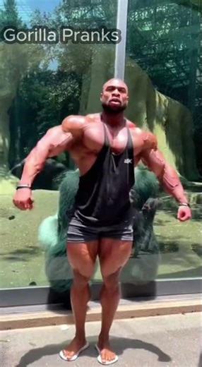 BODYFLEX SHOWDOWN 💪 | Heavy Bodybuilder vs Gorilla Power