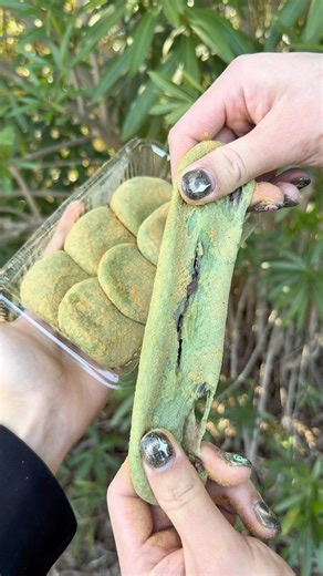 World’s fastest mochi pounding🇯🇵