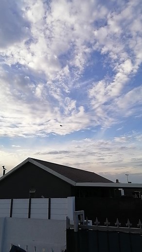 UFO Sighting in Cape Town: Witness Alien Activity in South Africa