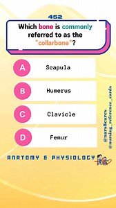 34K views · 1.2K reactions | Which bone is commonly referred to as the "collarbone"? * * * #nurses #doctors #nursing #medical #nurseexam #NCLEX #nclexreview #nclexrn #registerednurse #medicaldoctor #medicine #studentlife #exam #exampreparation #nclexprep #nursingstudent #medicalstudent #RN #NMC #NGN #PNLE #NLE #USRN #RN #rnlife #nursinglife #fbreels #fypシ゚ @followers @topfans @highlight @everyone | Nursing Reference Cards | Facebook
