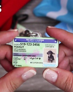 595K views · 4.1K reactions | Have you seen these? These are the cutest pet ID tags ever! Fully customizable, life-time warranty and each purchase helps an animal in need! Wow!   | TagsforHope | Facebook