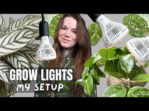 How I Use GROW LIGHTS To Get My HOUSEPLANTS Through WINTER