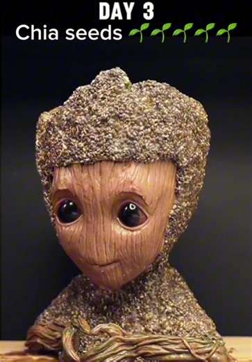 “Watching plants grow never gets old 🌱 🍎🍄‍🟫 Nature in fast forward.”#plants #timelapse #PlantTok #satisfying #nature