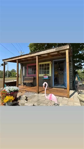 Kim Spalding on Reels