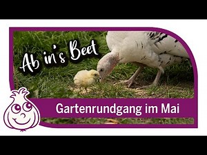 Garden in May | Vegetable garden and greenhouses | Garden tour