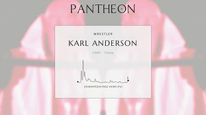 Karl Anderson Biography | Pantheon