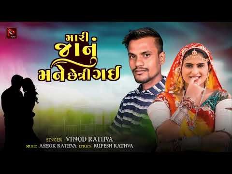 Mari Janu Mane Chhetri Gai | Vinod Rathva | New Adivasi Song 2025 | Divyanshi Music