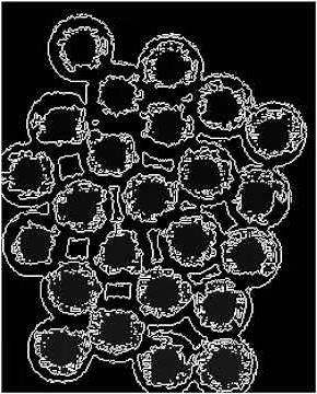 Watershed Algorithm in Rust