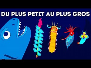50 Créatures Qui Prouvent Que Nous ne Savons Rien de l'Océan