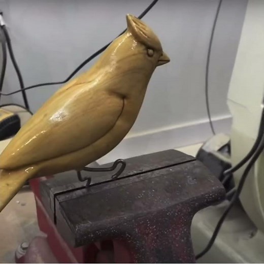 How to Carve & Paint a Cardinal #carving #bird #cardinal #birds #birdart #birdartist #woodcarving