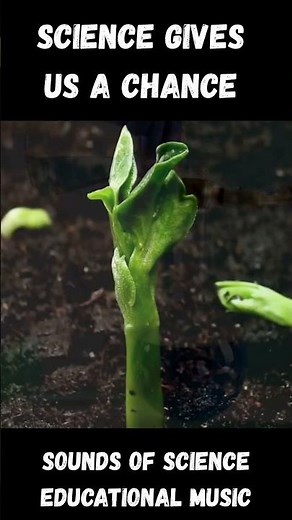 Science Gives Us a Chance - Why learn Science?? | Sounds of Science EDUCATIONAL MUSIC - SHORT