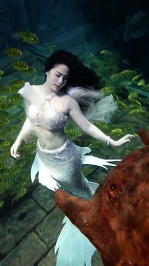 Never be afraid of being alone, always have the courage to walk alone, you don’t have to be in a