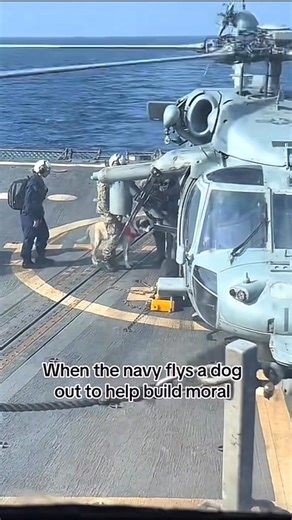 Moral was restored #deployment #military #marines #airforce #army #mindset | Veteran Healing