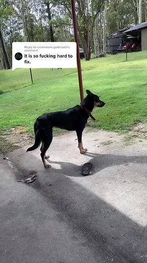 Reply to @lunamoons.goldcoast