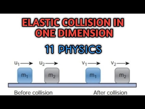 Elastic collision in one dimension| 11 Physics| Samacheer kalvi.